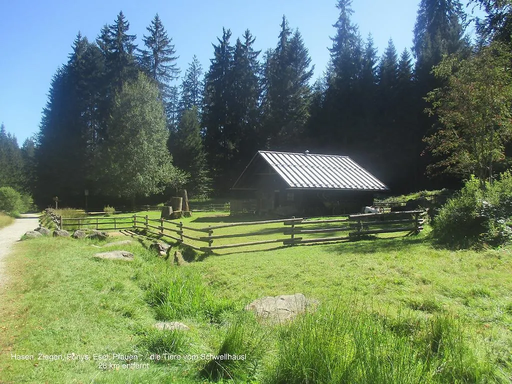 Vakantiehuis Waldferiendorf Villa Regen Duitsland
